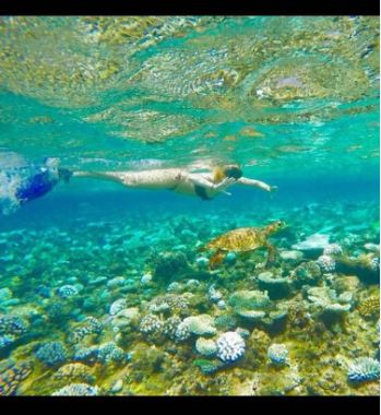 Snorklanje z želvico na koralnem grebenu na Maldivih. 