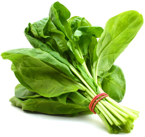 Vir: wasoko.com