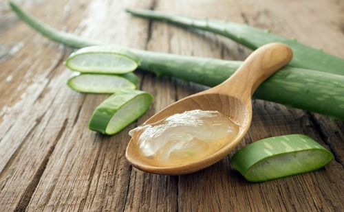 Aloe vera ima zdravilne lastnosti, ki uspešno zdravijo strije. (stylecraze.com)
